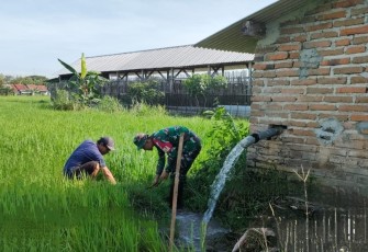 Pemeliharaan lahan pertanian warga binaan 