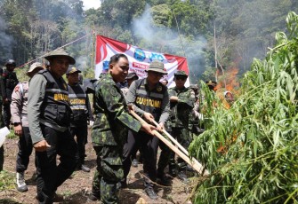 Pemusnahan ladang ganja di Aceh Besar