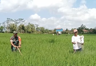 Pendampingan petani wilayah desa binaan 