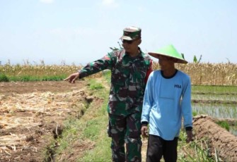 Pendampingan petani wilayah desa binaan 