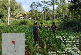Pendampingan petani wilayah desa binaan 