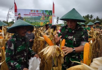 Danrem 131/Stg Gelar Panen Perdana 