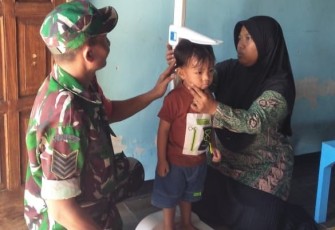 Posyandu balita wilayah binaan 