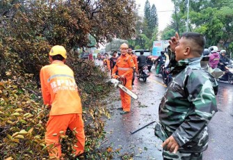 Penebangan pohon di wilayah binaan