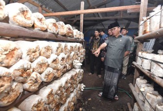 Mendes PDT Yandri Susanto meninjau budidaya jamur di desa Margorejo, Provinsi Lampung Selatan 