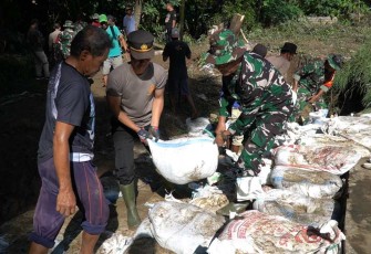 Kemanunggalan TNI Polri rehabilitasi pasca bencana di Ponorogo 