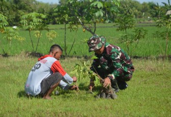Prajurit Yonarmed 12 Kostrad tanam pohon Sukun di desa Pangkur, Kamis (19/12)