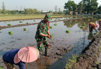 Tanam padi bersama warga binaan