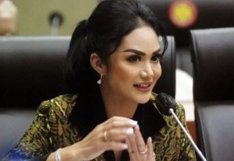 Kris Dayanti Anggota Komisi IX DPR RI 