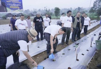 Menteri ATR/BPN Agus Harimurti Yudhoyono saat menanam asparagus di Kabupaten Cianjur 