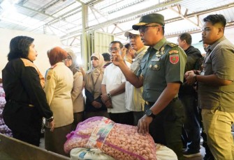 Irdam XIV Hsn Brigjen TNI Dwi Endrosasongko 