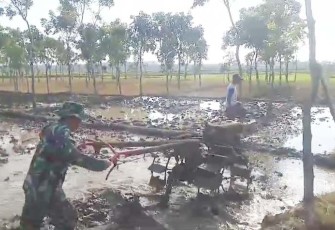Pendampingan petani wilayah desa binaan 