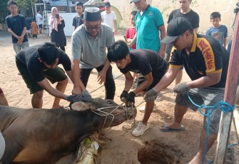Warga LDII Kota Makassar melaksanakan penyembelihan sapi kurban di Kompleks Dr Tadjuddin Chalid, Jalan Berua Raya, Kota Makassar, Sulawesi Selatan, Senin (17/6/2024). Di tahun 2024 kali ini, warga LDII se-Sulawesi Selatan berkurban 700 ekor sapi dan 73 ekor kambing. 