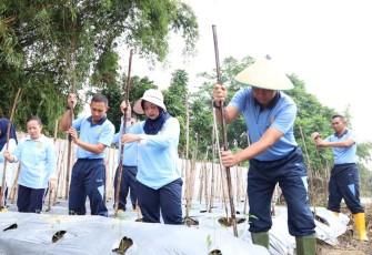 Komandan Lanud Adi Soemarmo Marsma TNI Ridha Hermawan,  S.H., M.Han., beserta Ketua PIA Ardhya Garini Cabang 3 Lanud Adi Soemarmo Ny. Maritzka Ridha Hermawan didampingi para pejabat Lanud Adi Soemarmo melaksanakan panen hasil lahan ketahanan pangan yang ada di Lanud Adi Soemarmo, Jumat (15/3/2024)