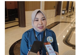 Ketua TP PKK Kaltara Hj Rahmawati SH