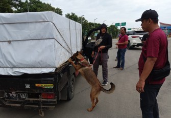 Anjing K9 Bantu Lacak Peredaran Narkoba di Pelabuhan Bakauheni