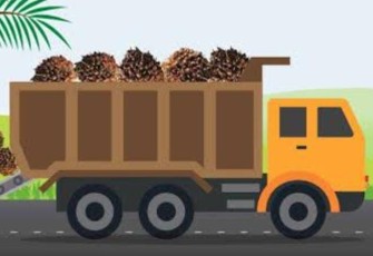 ilustrasi truk angkut buah sawit