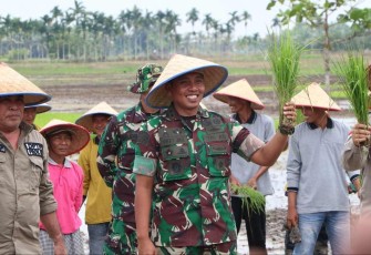 Kodim 0314/Inhil Kejar Impian Swasembada Beras yang Pernah Hilang di Kabupaten Indra Giri Hilir