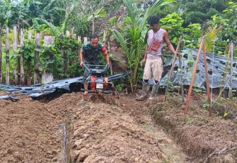 Babinsa Koramil 1710-07/Mapurujaya melaksanakan kegiatan ketahanan pangan dengan mendampingi sekaligus membantu petani membajak lahan di Kp. Hiripau, Distrik Mimika Timur, Kabupaten Mimika, Senin (06/05/2024)