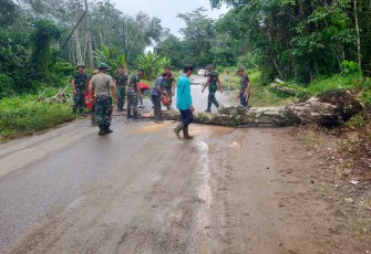 Koramil 1001-05/Lampihong Karya Bakti di Wilayah Binaan