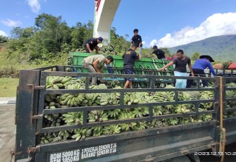 Ekspor melalui PLBN Aruk