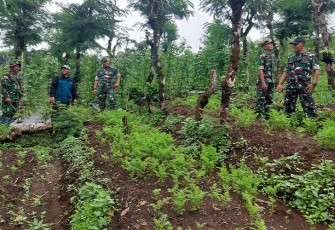 Dandim Madiun saat Dampingi Danrem 081/Dsj Tinjau Lahan Food Estate
