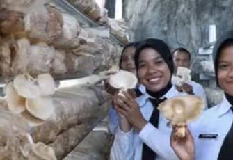 Panen Jamur Tiram Hasil Budidaya Warga Binaan Rutan I Medan