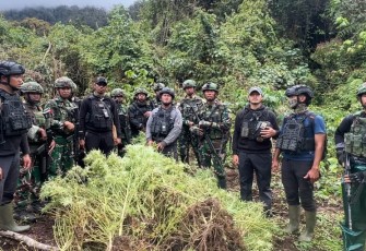 Satgas Gabungan Pamtas RI-PNG Ungkap Empat Kebun Ganja di Pegunungan Bintang Papua