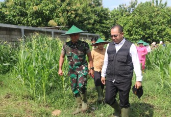 Dandim Madiun Bersama Forkopimda Laksanakan Penanaman Jagung