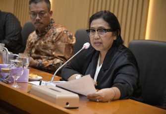 Anggota Komisi IX DPR RI Irma Suryani