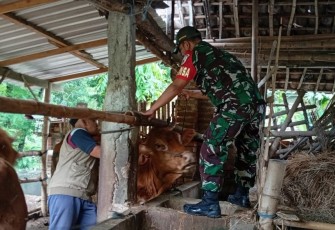  Babinsa Kodim Ponorogo saat Pendampingan Vaksinasi