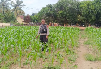 Bhabinkamtibmas Polsek Belitang III Bripka Pitoyo laksanakan pendampingan, Kamis (10/04/2025)..