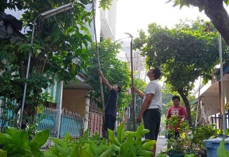 Gotong royong pangkas dahan pohon di lingkungan 