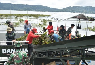 TNI dan Warga Bersatu Padu Gasak Eceng Gondok di Danau Tondano