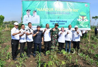Dandim Ponorogo Bersama Pemkab Ponorogo saat Nandur Panguriban