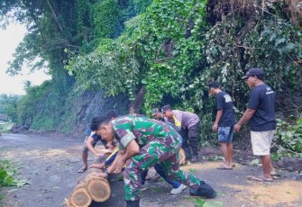 Evakuasi pohon tumbang di jalan