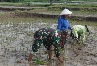Tanam padi bersama warga binaan