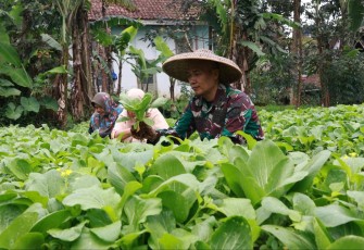 Ketahanan pangan lanud Husein Sastranegara Bandung 