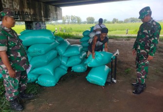 Penyerapan gabah petani desa binaan 