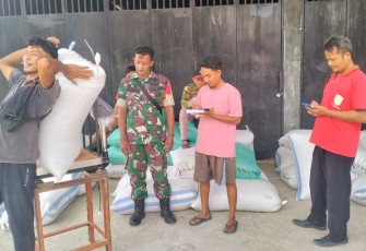 Serap gabah petani desa binaan 