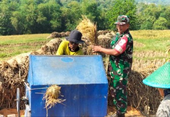 Penggilingan padi petani wilayah desa binaan 