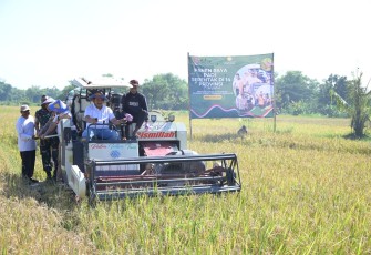 Bupati dan Wakil Bupati Karanganyar bersama jajaran Forkopimda dan perwakilan PT Bulog mengikuti panen raya padi serentak, di Desa Wonolopo, Tasikmadu, Karanganyar, Senin (7/4/2025)