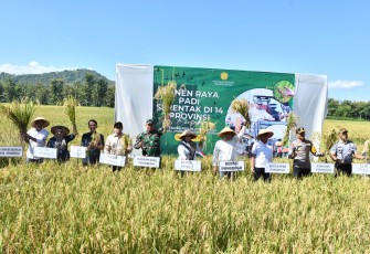 Komandan Kodim 0802/Ponorogo Letkol Inf Dwi Soerjono hari ini mengikuti kegiatan panen raya padi secara serentak bertempat di Desa Ngrandu Kecamatan Kauman Kabupaten Ponorogo, Senin (07/04/2025)