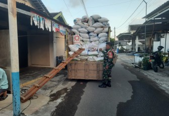 TNI Kawal Serapan Gabah Di wilayah Pacitan Guna Dukung Pemerintah 
