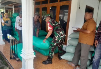 Babinsa Koramil 0803-02/Madiun Dampingi Penyerapan Gabah oleh Bulog