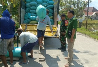 Babinsa Desa Ngengor Dampingi Penyerapan Gabah Perum Bulog 