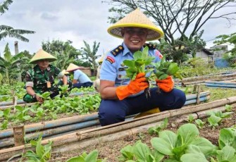 Panen sayur Lanud Husein Sastranegara Bandung 