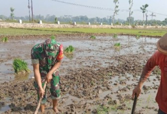 Bantu olah lahan petani wilayah desa binaan 