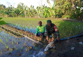Pompanisasi aliri persawahan petani wilayah binaan 