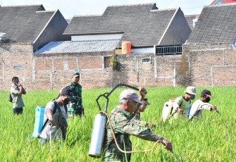 Dandim Ponorogo Langsung Temui Para Petani